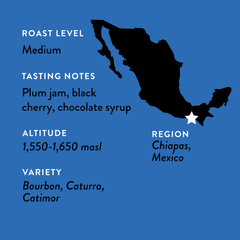Chiapas origin and flavor map for Rosalba's Mexico coffee