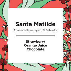 Feast Santa Matilde El Salvador Natural coffee package