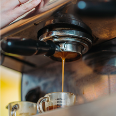Zoka Espresso Paladino Coffee — roasted coffee beans