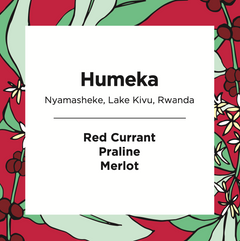 Feast Humeka Rwanda Anaerobic Natural coffee package