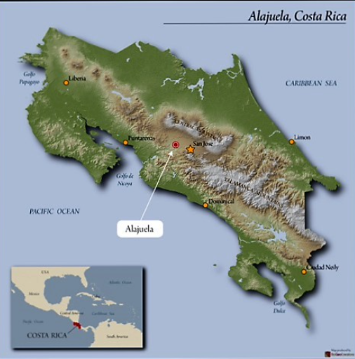 Costa Rica El Poeta - Green Beans -
