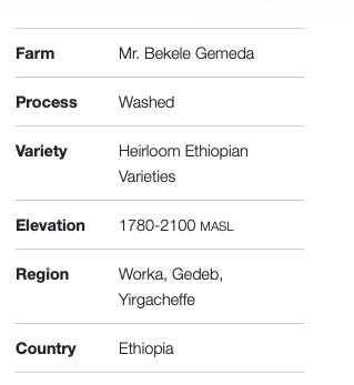 Ethiopia Halo Beriti Yirgacheffe Bekele Gemeda Washed GREEN BEANS -