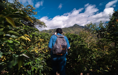 Peru Merly León Organic Washed Coffee — alternate package view