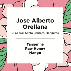 Feast José Alberto Orellana Honduras Washed coffee package