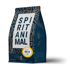 Spirit Animal Cup of Excellence Parainema Coffee — front coffee package