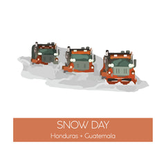Up North Snow Day Dark Roast coffee package