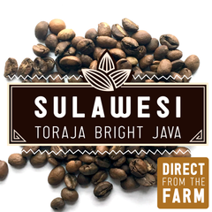 Sulawesi Toraja Bright Java graphic with roasted beans and a farm-direct badge — Sulawesi Toraja Bright Java Light Roast gallery