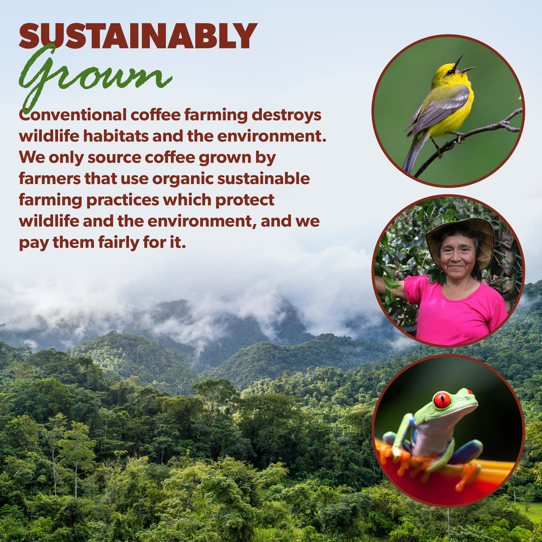 Half Caff Peru Organic