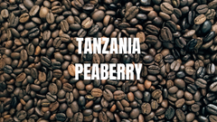 Tanzania Peaberry Single-Origin Coffee product image 2