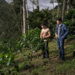 Bean & Bean Ecuador La Soledad Typica Mejorado — product gallery detail, image 2