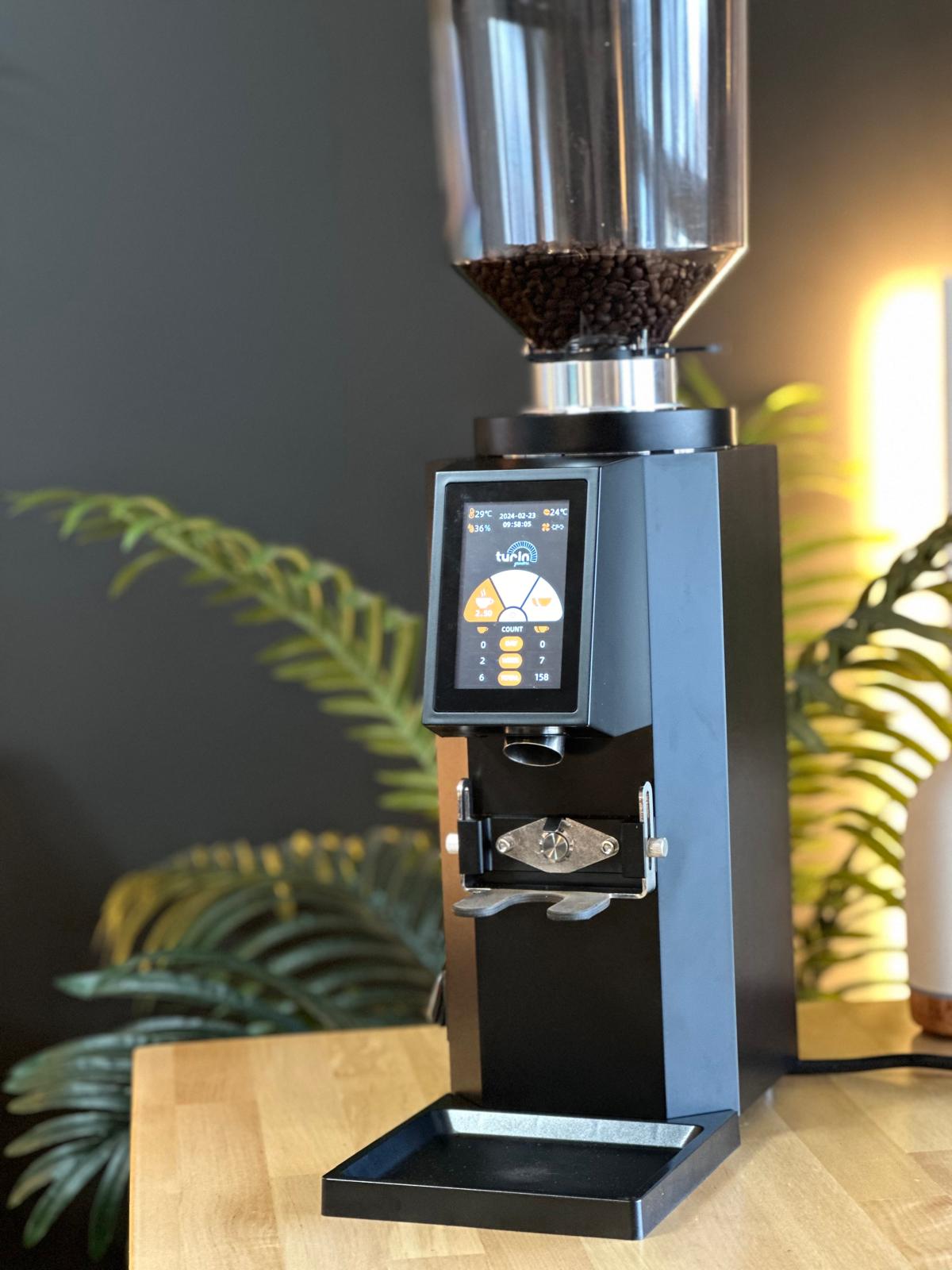 Turin ZF83 Commercial Espresso Grinder – Espresso Outlet LLC