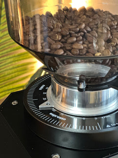 Turin ZF83 commercial espresso grinder feature detail – view 25