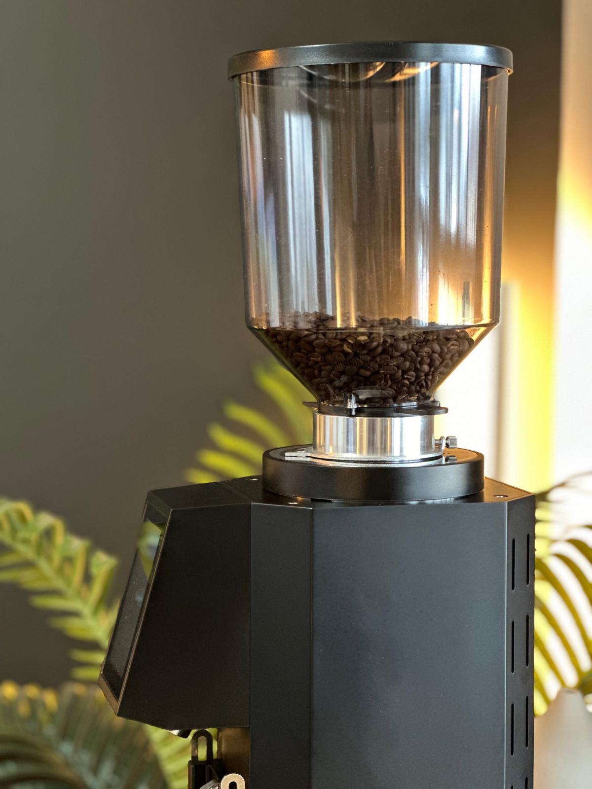 Turin ZF83 Commercial Espresso Grinder – Espresso Outlet LLC