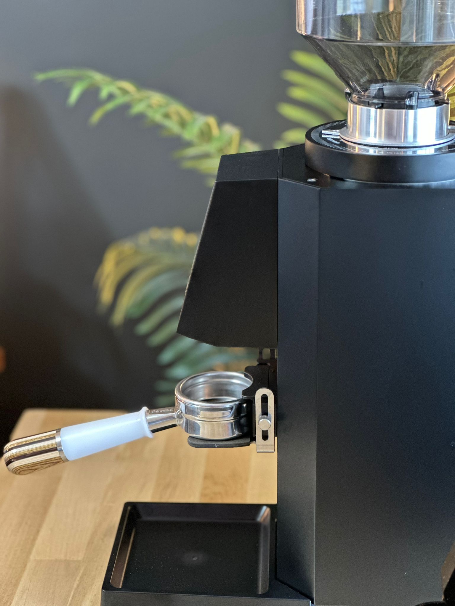 Turin ZF83 Commercial Espresso Grinder | Espresso Outlet