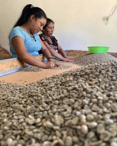 Women of Bella Vista coffee cooperative in Chiapas, Mexico