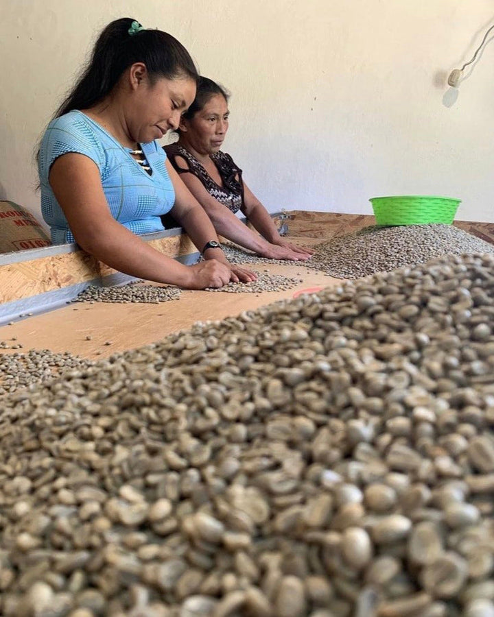 Rosalba's Mexico