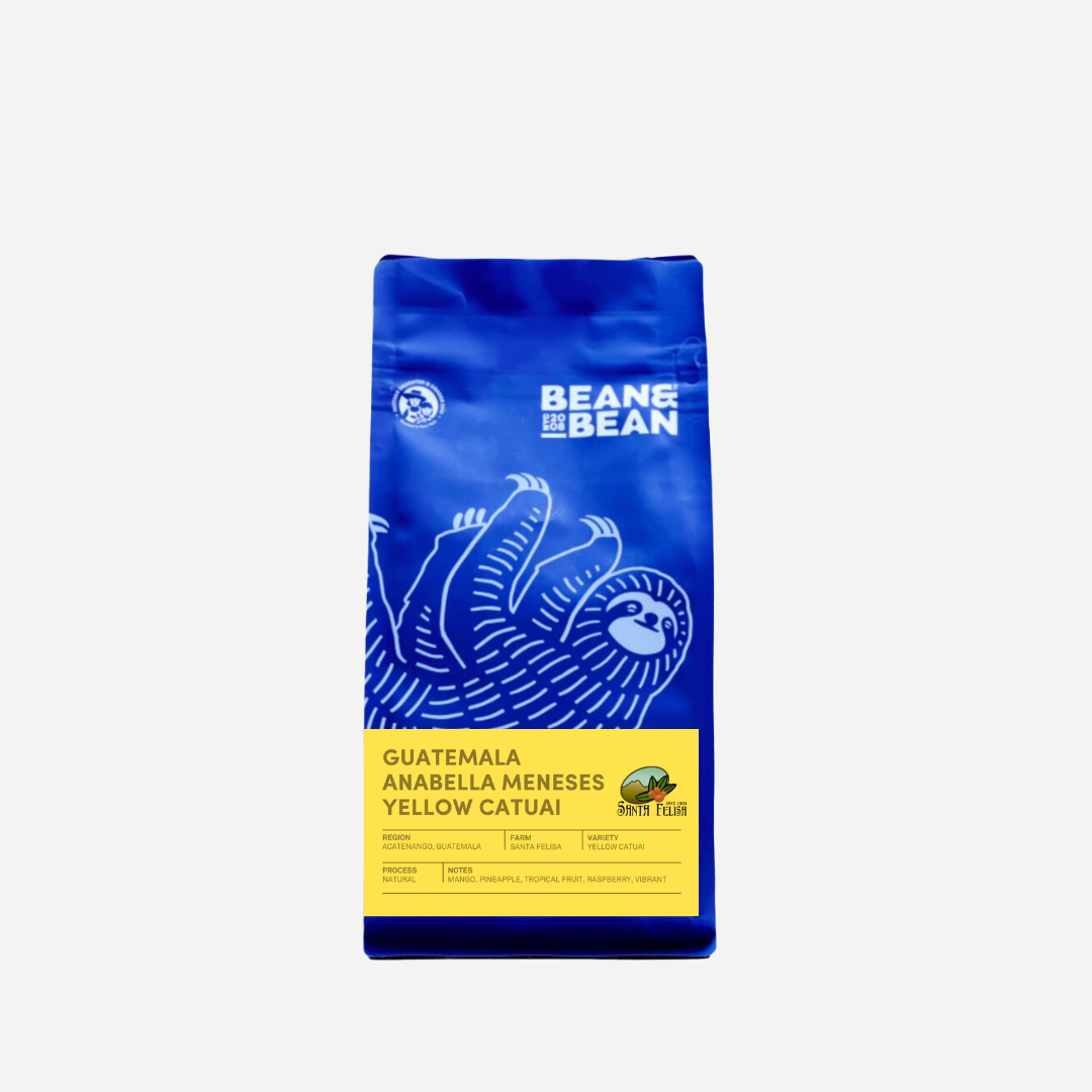 Bag of specialty roast coffee from Guatemala with notes of Fruity