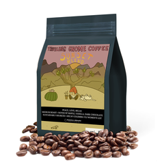 Traveling Gnome Sunset decaf bag with desert scene