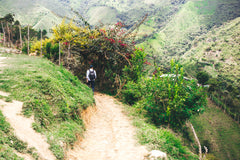 Olympia San Sebastián Reserva Colombian Coffee — path through green hillside coffee plantings
