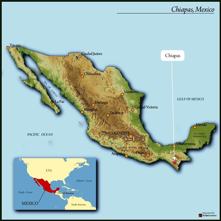 Mexican fair trade organic Chiapas Espresso Outlet