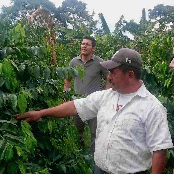 Bag of specialty roast coffee from Colombia, Nariño with notes of Fruity