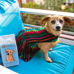 Doggone Good Caramel coffee in a dachshund couch scene