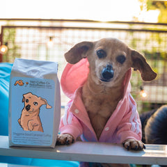 Doggone Good Caramel coffee with illustrated dachshund portrait