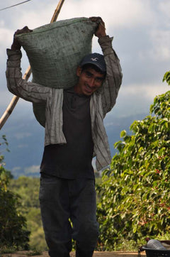 Café Vida coffee farm and processing image