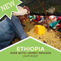 People sorting coffee beneath an Ethiopia Suke Quto Honey Process banner — Tiny Footprint Ethiopia Suke Quto Honey Light Roast