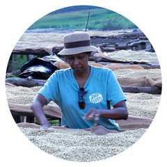Torque Bahire Women Producers Burundi Coffee — Bag of specialty roast coffee from Origin Unknown with notes of Rich Flavors — image 5