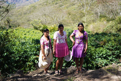 Bolivia Floripondio Batian Natural Coffee espresso preparation