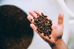 Hand holding a small pile of roasted coffee beans — Clear Lake 6 Bean Dark Roast Coffee Blend gallery