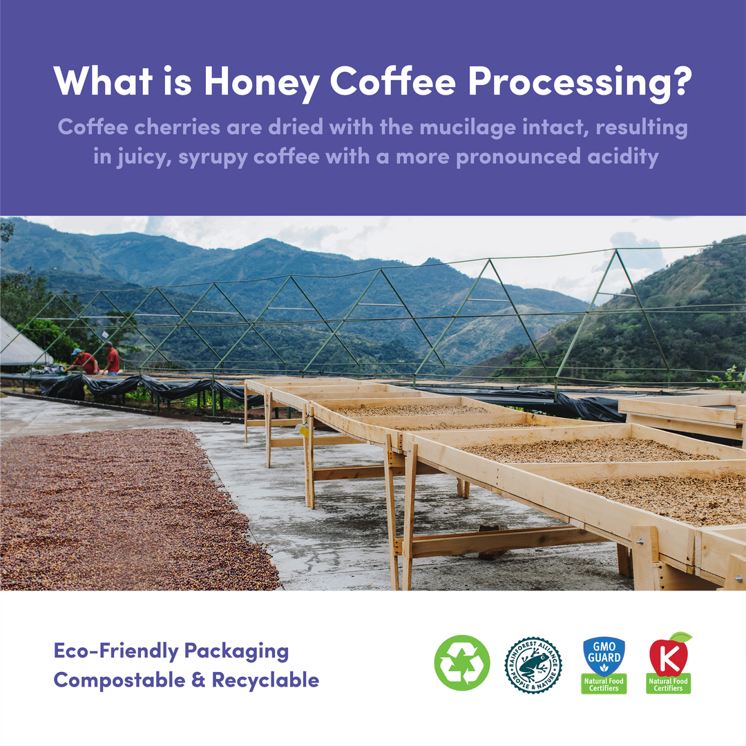 Bag of specialty roast coffee from Costa Rica with notes of Fruity