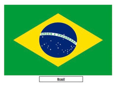 Brazil flag graphic in the Bendix Brazil Bravo Coffee gallery