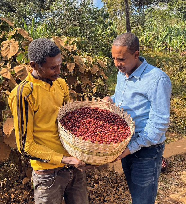 Ethiopia Gedeb Huke Natural