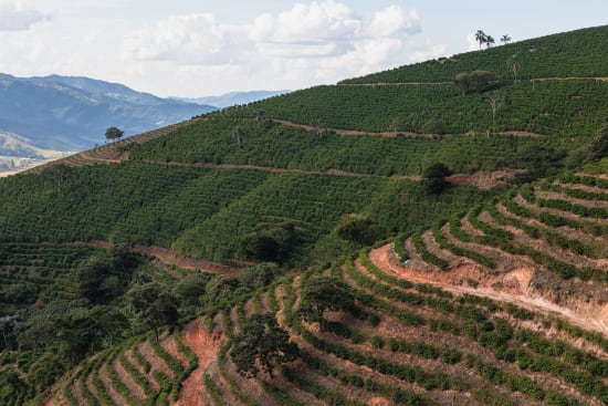 Brazil Serra Negra Natural
