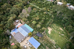 Colombia Nariño coffee tasting profile image