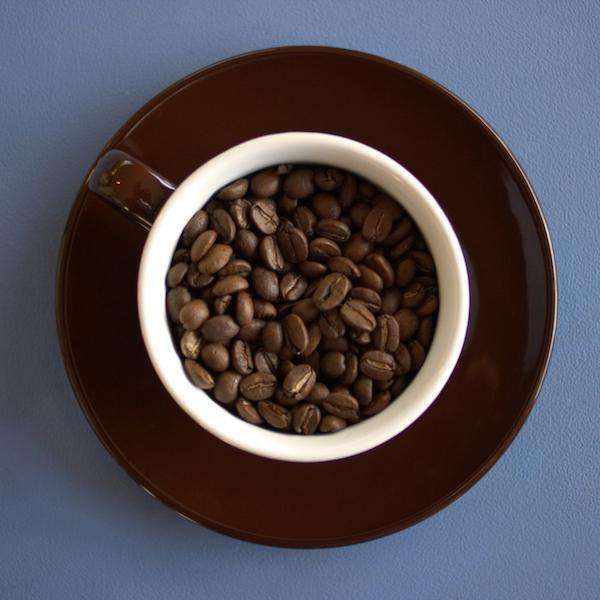 Bag of specialty roast coffee from Costa Rica with notes of Chocolate