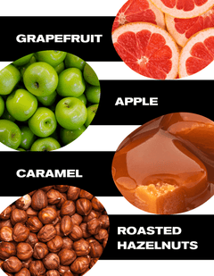 Light roast blend notes of grapefruit, apple, caramel and roasted hazelnut