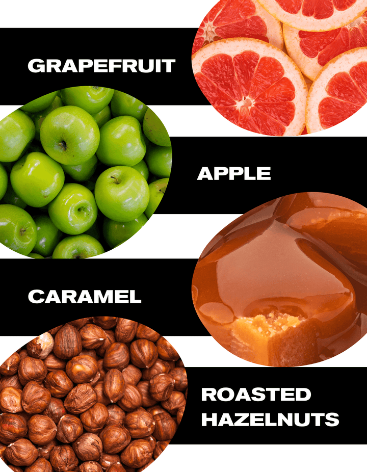 Light Roast Signature Blend