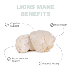 Mello Beans Huntress Lion’s Mane Coffee — supplier lion’s mane infographic showing mushroom pieces and claimed health benefits