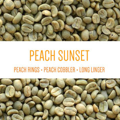 Peach Sunset Caturra Green Coffee Beans — main product view