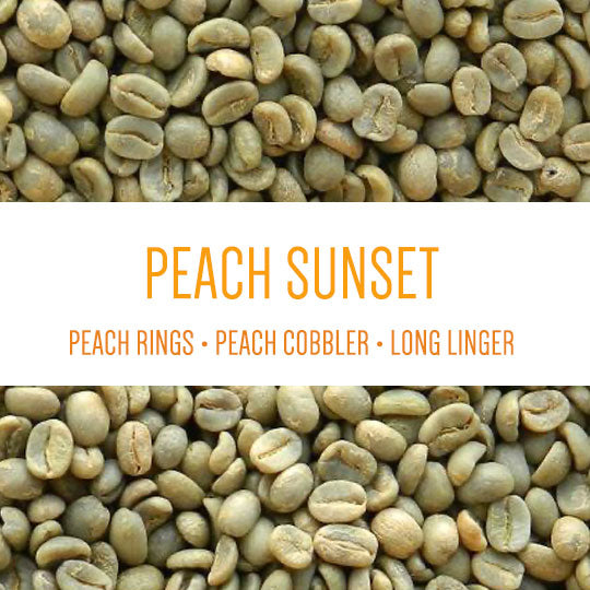 Peach Sunset - GREEN BEANS -