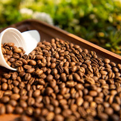 Kaveri Kerkeicoondah Peaberry Medium Roast Roasted peaberry coffee beans — image 3