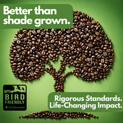 Coffee beans arranged as a tree on a green Bird Friendly graphic — Tomorrow’s Coffee Ethiopian Organic Coffee gallery