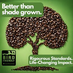 Coffee beans arranged as a tree on a green Bird Friendly graphic — Tomorrow’s Coffee Guatemalan Organic Coffee gallery