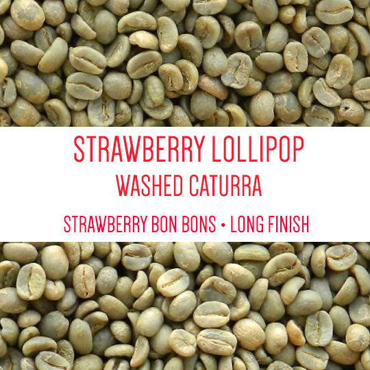 Strawberry Lollipop - Caturra Washed - Green Beans -