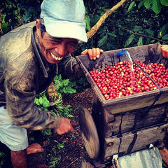 Sulawesi wet-hulled roasted coffee bag