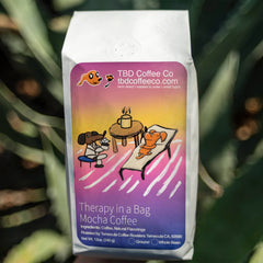 Therapy in a Bag mocha coffee with aloe plant