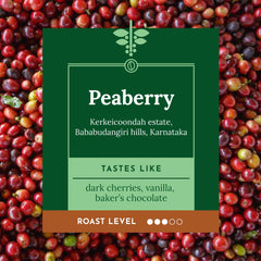 Kaveri Kerkeicoondah Peaberry Medium Roast Rare Finds Peaberry coffee information graphic — image 2